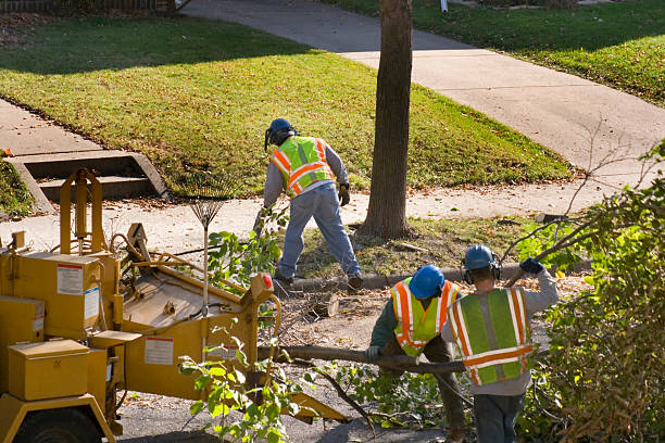  Horseshoe Bay, TX Tree Services Pros